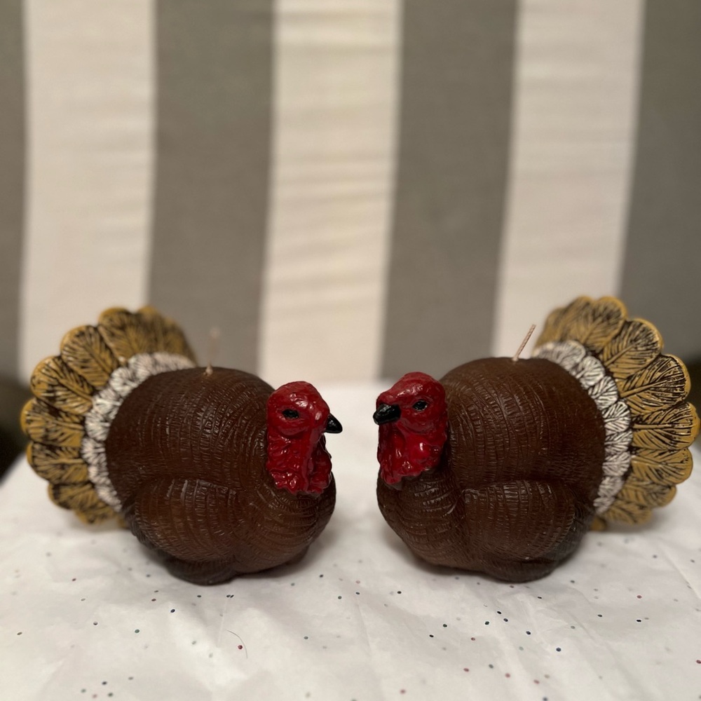 Brown and Red Turkey Candles